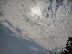 -艾溪湖湿地公园