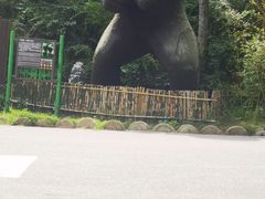 -栾川竹海野生动物园