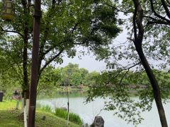 -常德桃花源景区