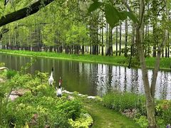 -上海共青森林公园