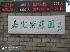 -嘉定紫藤园