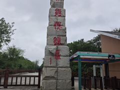 -中国扬子鳄村