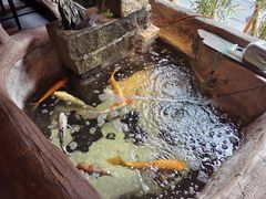 -Mountain House East Village 川山甲