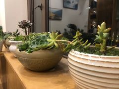 -四姑娘山阿巴郎·藏式花园餐厅