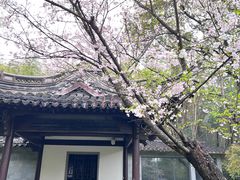-兰亭风景区