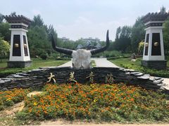 -武清南湖绿博园