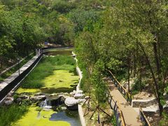 -白水寺森林公园