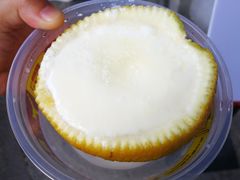 雪燕香橙炖蛋-无影脚佛山陈氏盲公丸始创店(飞鸿街店)