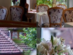 -蝶舍·MAISON PAPILLON