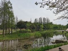 -长田漾湿地公园