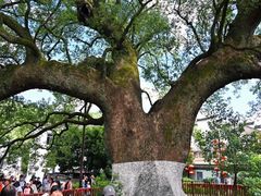 -新安江山水画廊风景区