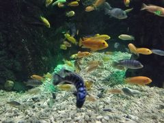 -太平洋海底世界