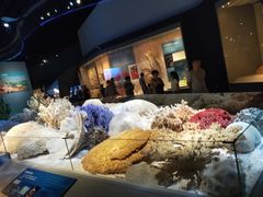 -贝林大翅鲸简餐厅(国家海洋博物馆店)