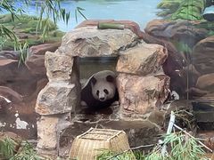-杭州动物园