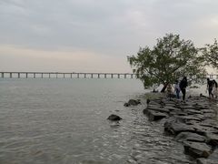 -宝安西湾红树林湿地公园