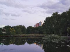 -额尔敦传统涮(公园西路店)