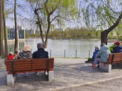 -大宁郁金香公园-停车场