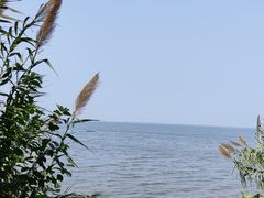 -阳澄湖费尔蒙酒店