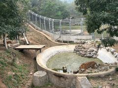 -石家庄市动物园