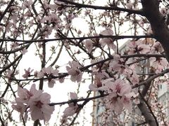 -太阳宫公园