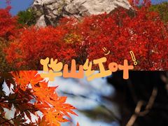 -华山风景名胜区