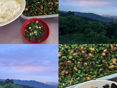 -金水泊山庄·花椒鸡(铁山坪店)