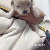 你要乖一点，我想你的一生都有我[爱心]