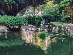 -九龙公园