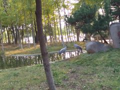 -艾溪湖湿地公园