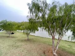 -东莞植物园