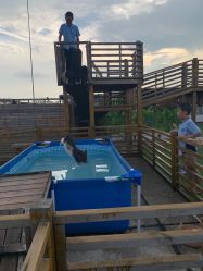 -小蜜蜂农场(凯德七宝购物广场店)