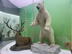 -国家自然博物馆