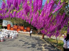 -牛鱼嘴原始生态风景区