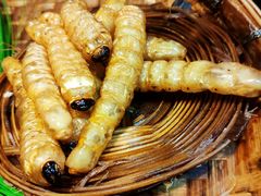 -昆虫窝子·特色云南菜(拓东路总店)