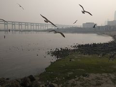 -星海湾跨海大桥