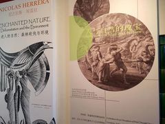 -北京大学赛克勒考古与艺术博物馆