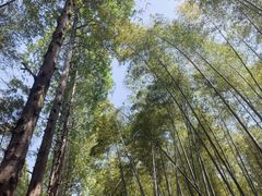 -同里国家湿地公园