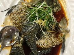 清蒸花斑鱼-岭南海晏楼(东晓南店)