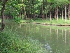 -西溪国家湿地公园