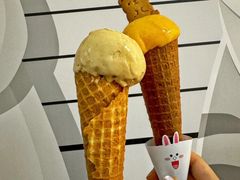 土耳其杏子冰淇淋-Tomado绿色烘焙(大尧三路店)