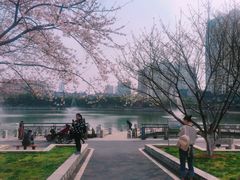 -西北湖绿化广场