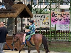 -杭州千岛湖开元度假村