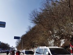 -秦岭风景区