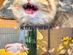 -时尚天河商业广场