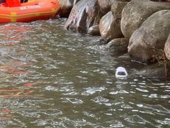 -雅鲁激流探险漂流