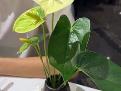 -眉州东坡(清河万象汇店)