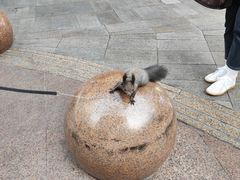 -观音桥步行街