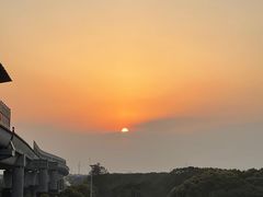 -上海野生动物园