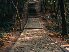 -上海佘山国家森林公园天马山园