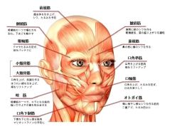 -美奈サロン美甲美睫皮肤管理